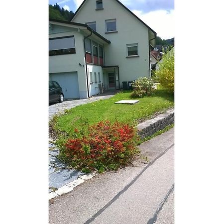 Haus Marion Todtnau Exterior foto