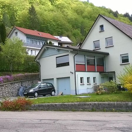 Haus Marion Todtnau Exterior foto