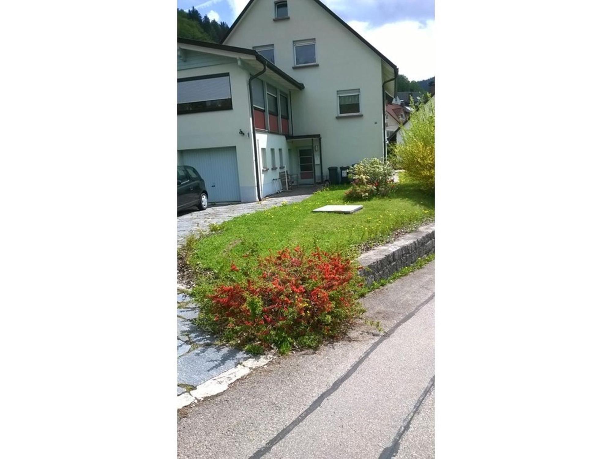 Haus Marion Todtnau Exterior foto